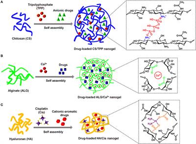 Self-Assembled Nanogels Based on Ionic Gelation of Natural Polysaccharides for Drug Delivery